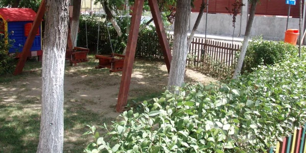 aradul curat