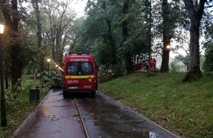 Copacul a căzut peste bărbatul de 57 de ani, chiar în Parcul Municipal, la doi paşi de centrul istoric