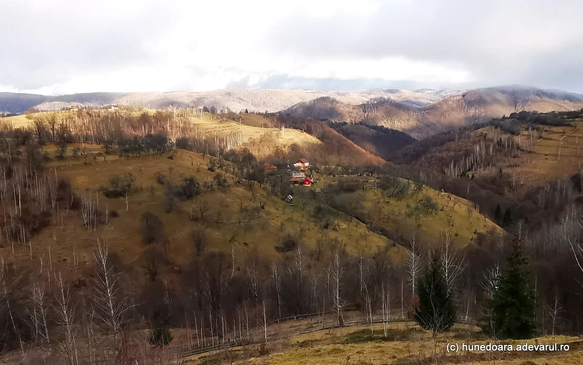 Meria. Foto: Daniel Guță