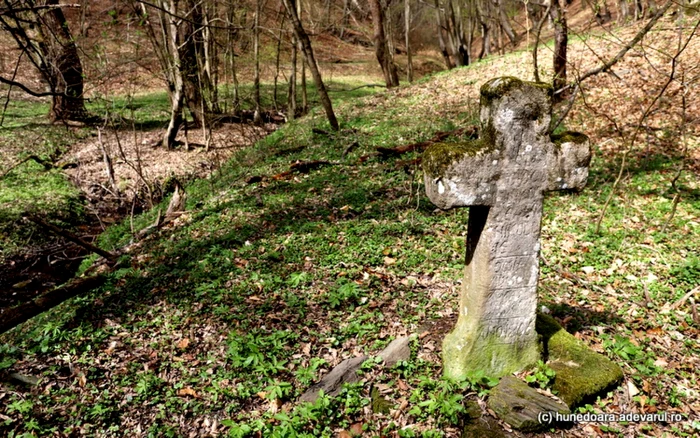 O cruce veche de peste două secole marchează locul mănăstirii dispărute. Foto: Daniel Guţă. ADEVĂRUL