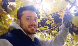 t114 vedete tavi clonda jpeg