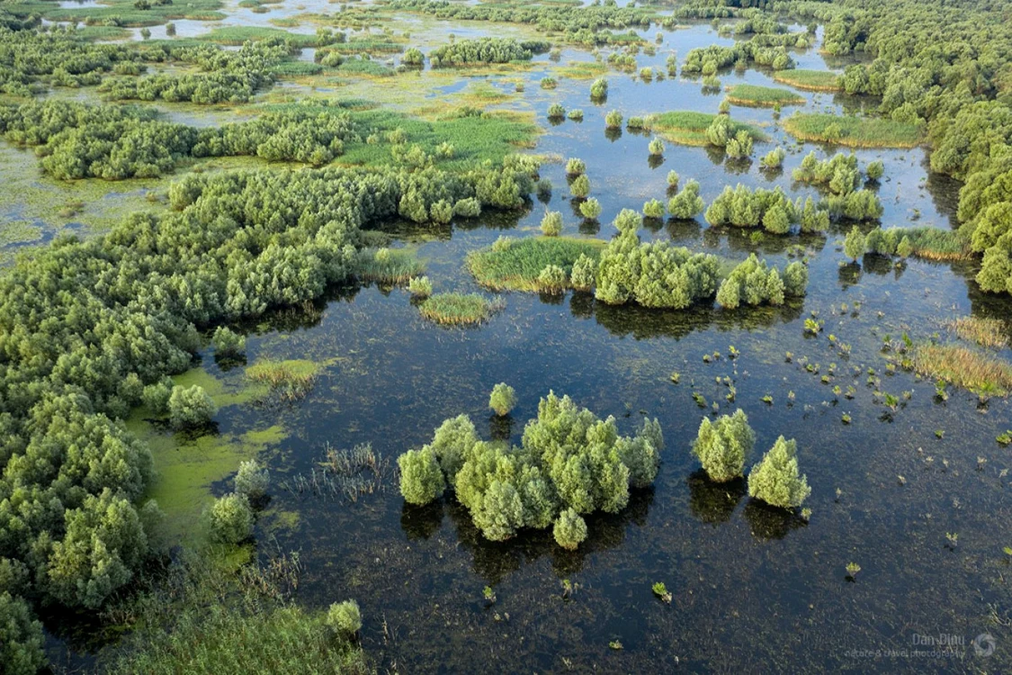 Insula Gâsca, un paradis în Bărăgan FOTO romaniasalbatica.ro
