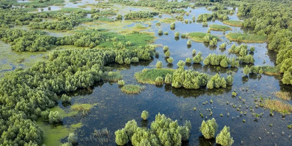 slobozia insula gasca un paradis in baragan foto romaniasalbatica.ro