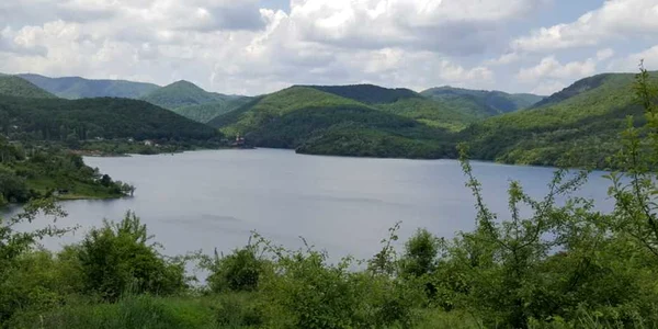 cincis