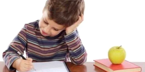 Elevii din Sălaj nu au primit până acum niciun măr