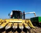 liceu agricol beclean 5