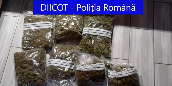 cannabis 1