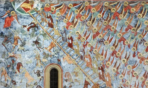 sucevita jpg