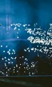 Cantareata, foto Pinterest jpg