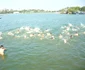 triathlon tulcea