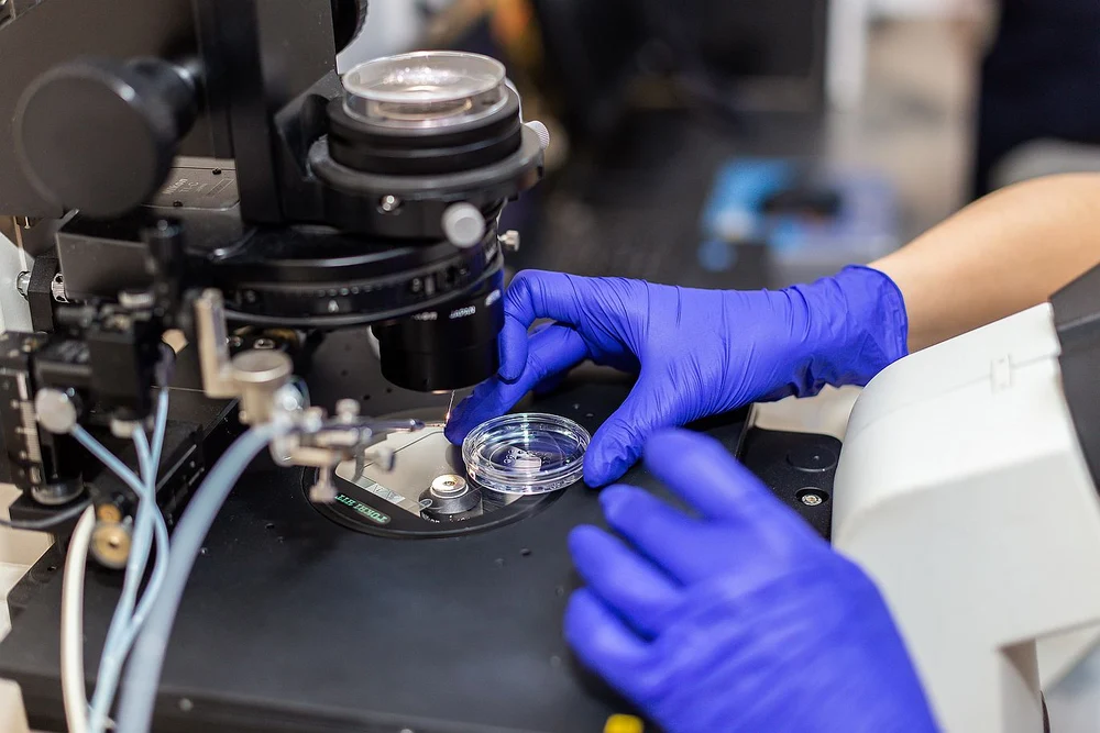 În fața cancerului, maternitatea pare un vis imposibil. Dar oncofertilitatea dovedește contrariul