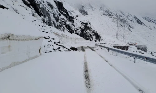 transfagarasan nins FOTO Facebook  DRDP Brasov jpg