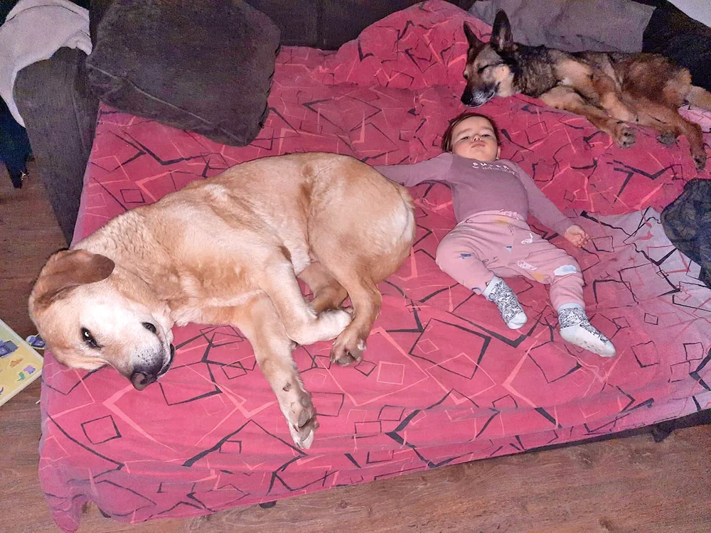 Zura este sensibilă şi iubeşte copiii. De când a venit din Turcia doarme lângă bebeluşul familiei