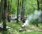 Parcul Natural Lunca Mureşului