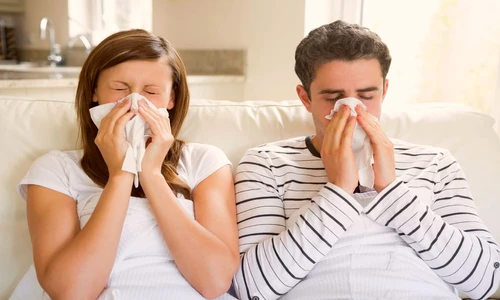 1 76252 original jpg jpeg