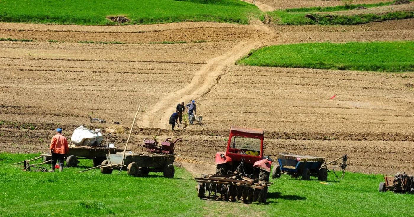 Bio-agricultura este o necesitate a pieţei, spun specialiştii