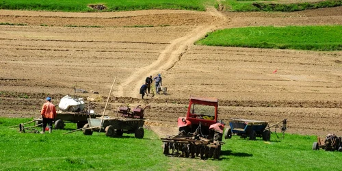 Bio-agricultura este o necesitate a pieţei, spun specialiştii