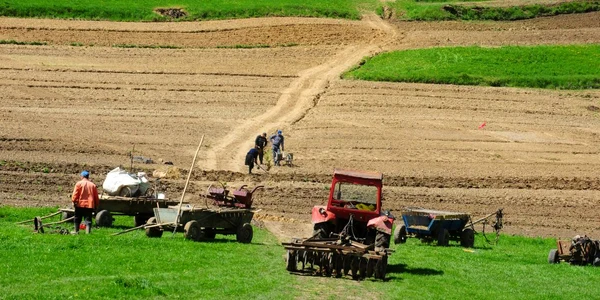 Bio-agricultura este o necesitate a pieţei, spun specialiştii