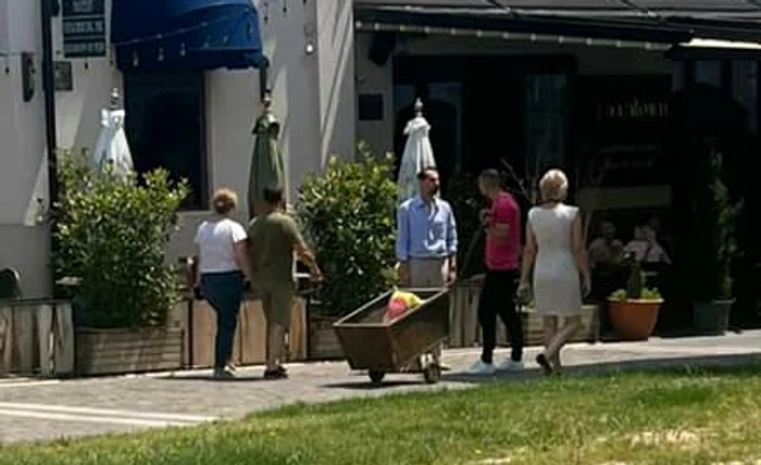 Claudiu Răducanu, surprins cărând un căruț