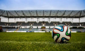 pexels pixabay 46798 jpg