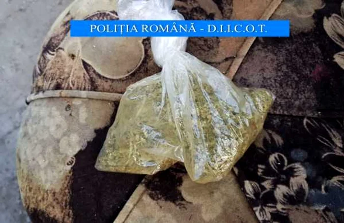 droguri canabis Galati 3