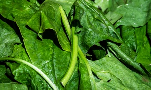 couleur spinach 3463248 1920 jpg