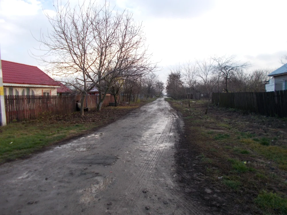 calarasi drajna