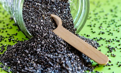 cha cha cha chia jpeg