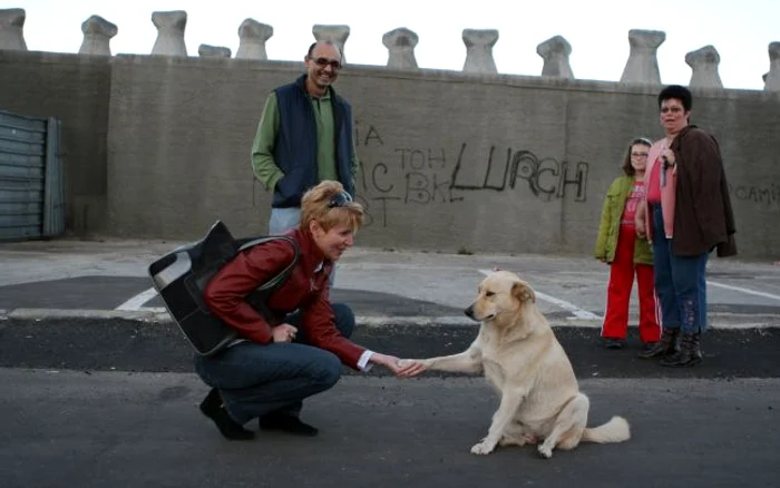 Irina a ieşit cu câinele la plimbare