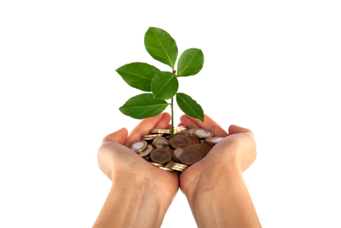 
    Pentru Raci, confortul financiar e irelevantFoto: Getty  