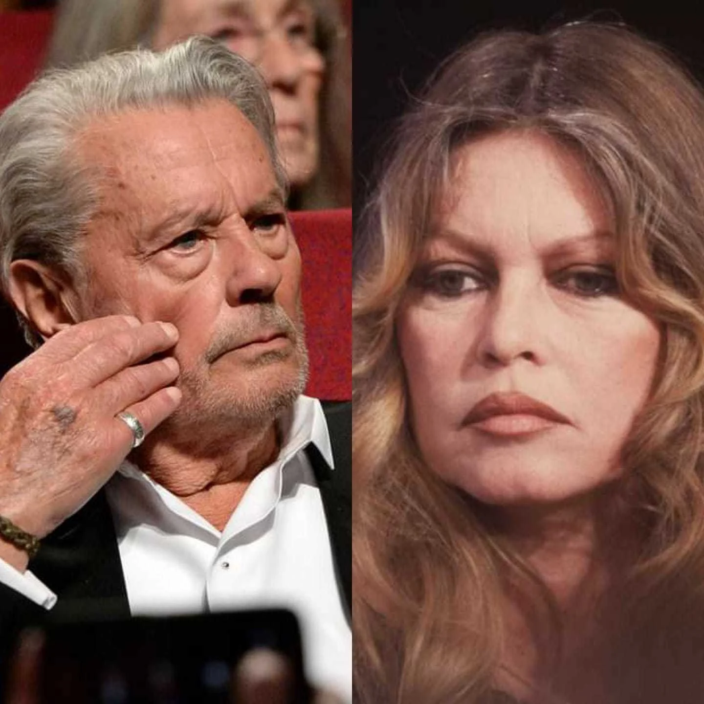 Prietenia Dintre Alain Delon şi Brigitte Bardot S-a Rupt? Brigitte ...