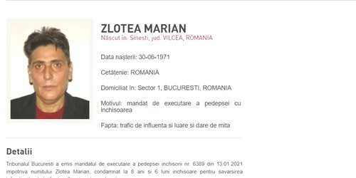 marian zlotea