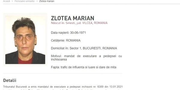 marian zlotea