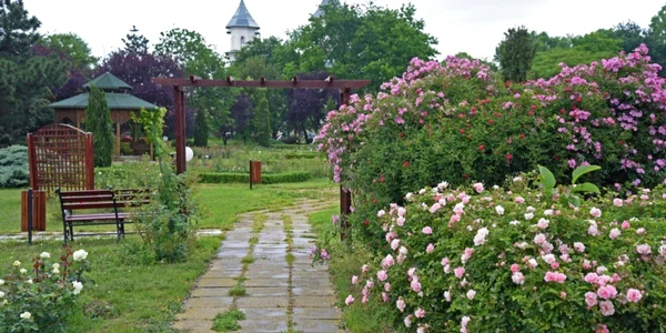 gradina botanica Galati