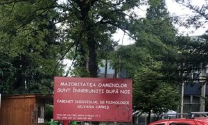 Cu ochii n 3,14 jpeg