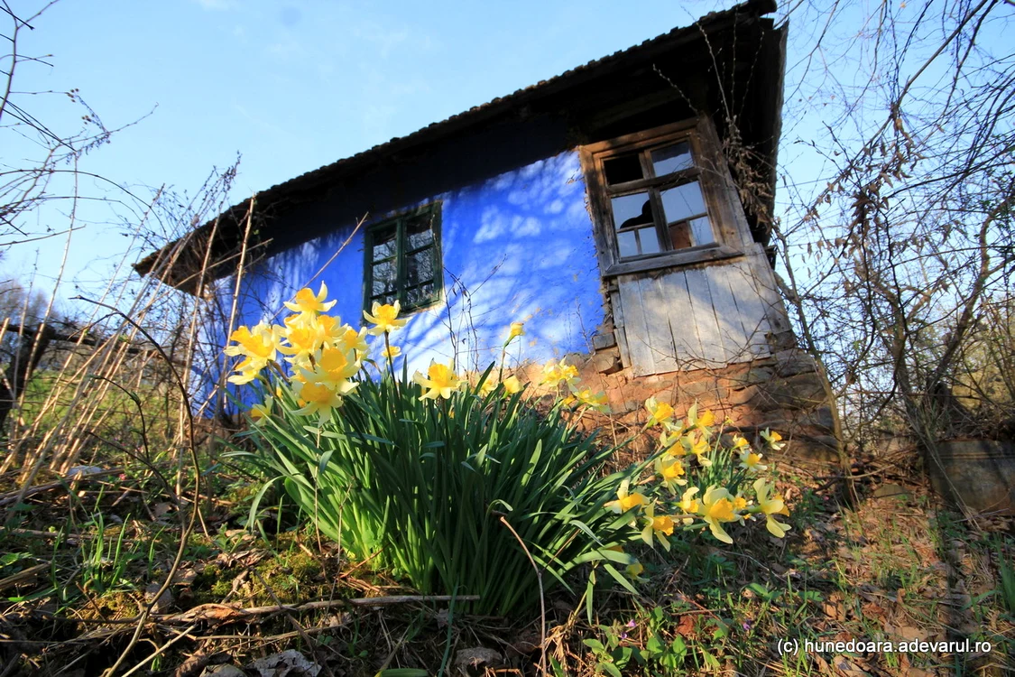 Satul Roșia din Hunedoara. Foto Daniel Guță. ADEVĂRUL