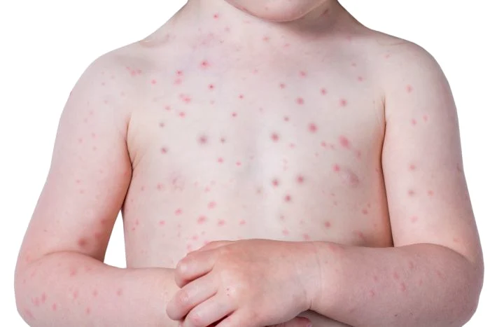 1 shutterstock 1090804772 jpg jpeg