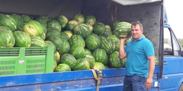 Lubeniţa de Gottlob are o mărime neobişnuită în acest sezon