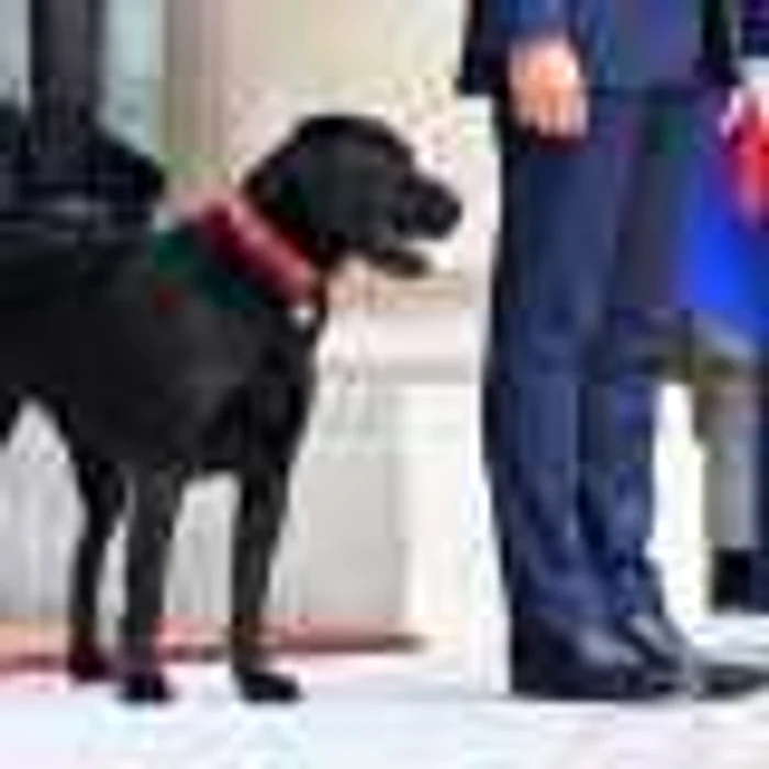 Labrador caine Emmanuel Macron FOTO Hepta 