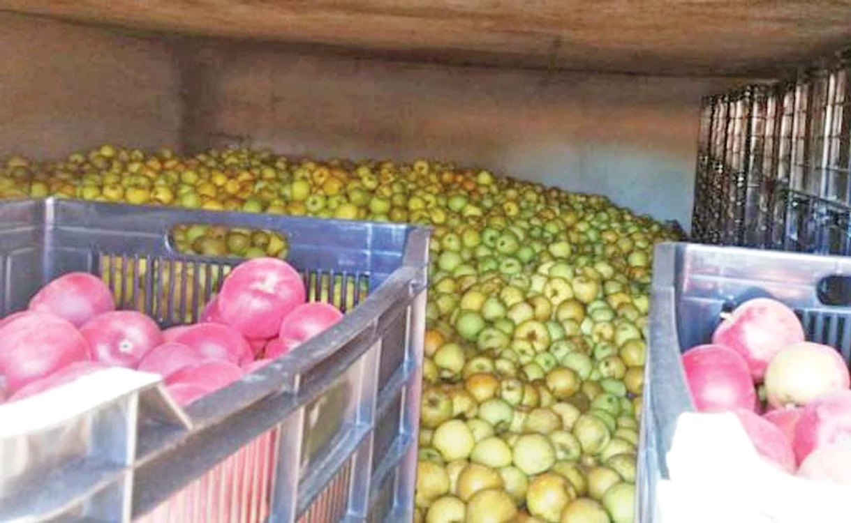 
    Un părinte din Râmnicu Vâlcea a fost şocat când a văzut ce corn a primit băieţelul lui la şcoală  