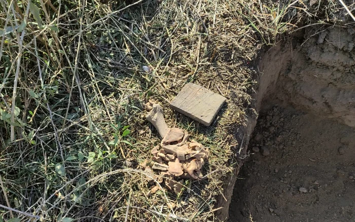 Oseminte umane, pe Faleza Dunării din Galați FOTO : Direcția Județeană pentru Cultură Galați