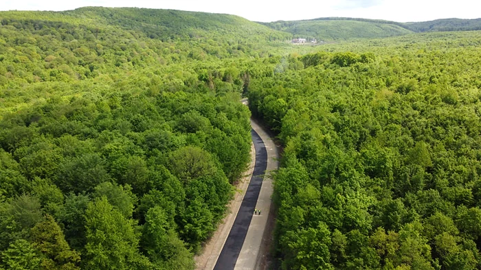 Drumul mănăstirilor se afundă adânc în codrii Voronei FOTO Consiliul Județean Botoșani