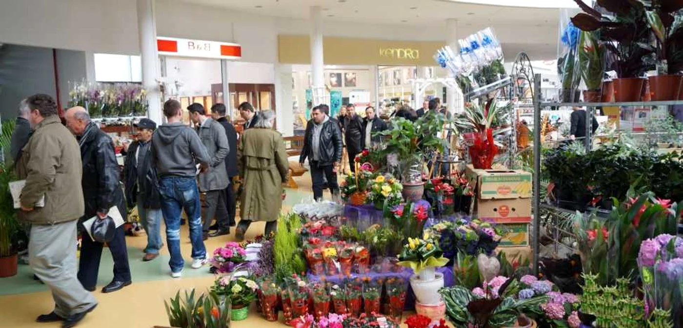 Flori din zeci de specii la Târgul Grădinarului