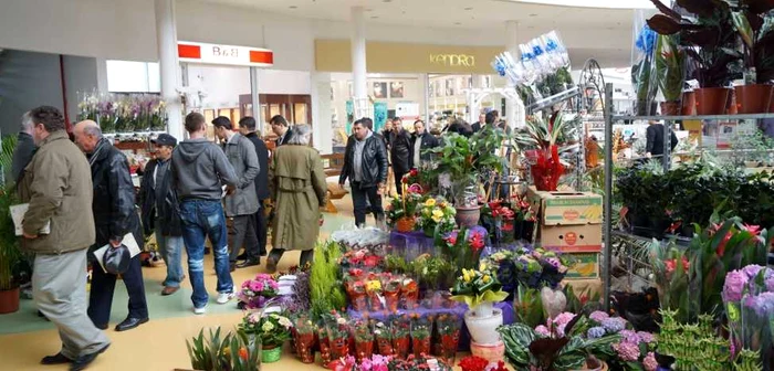 Flori din zeci de specii la Târgul Grădinarului