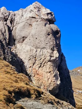 Gibonul din Carpați