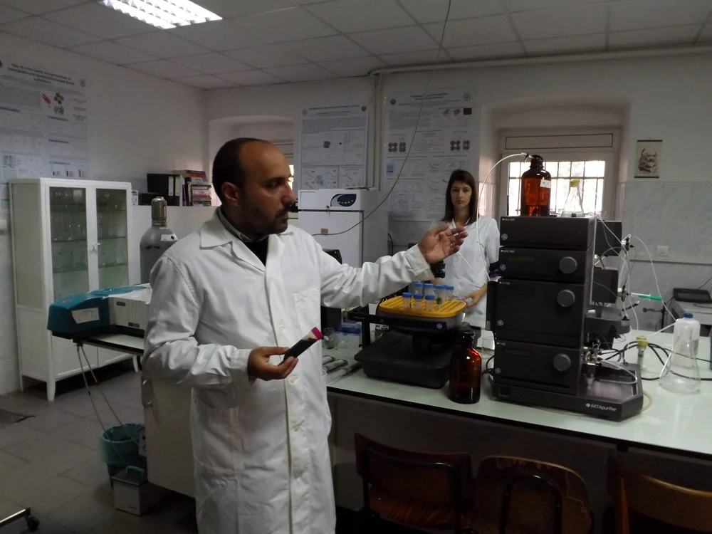 Proiectul lui Radu Silaghi-Dumitrescu a rămas fără finanţare. FOTO:Remus Florescu