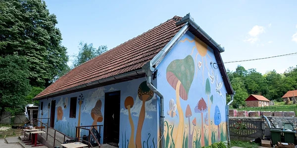 Color the Village la Fărăşeşti