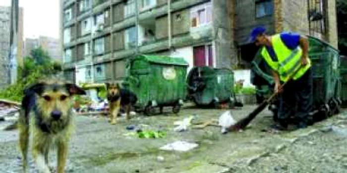 Hunedoara: I-au confiscat arma cu care împuşca maidanezi