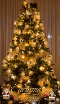 Bradul Oanei Zăvoranu / Foto: Instagram