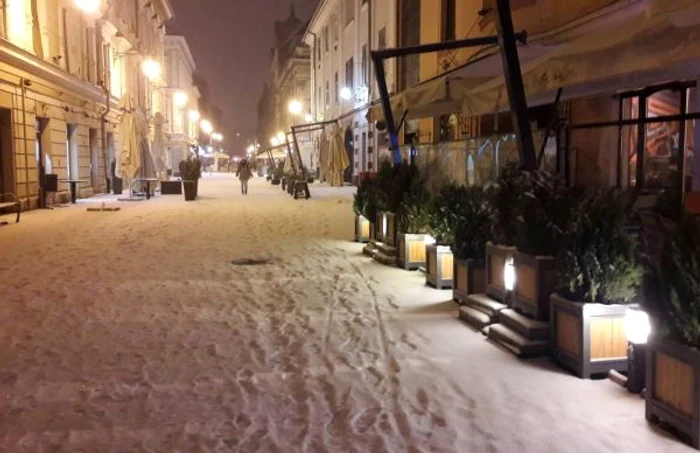 Prima ninsoare din 2019. Timişoara a îmbrăcat din nou haine albe FOTO Ş.Both